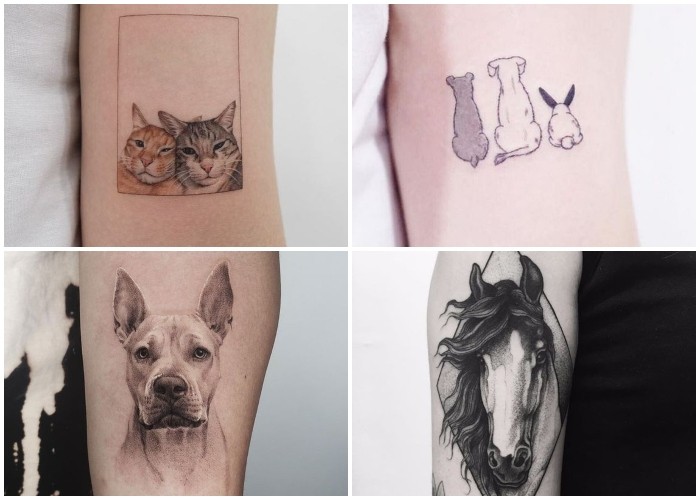 ᐈ Tatuajes de mascotas ¿Dónde y cómo tatuarme a mi mascota favorita