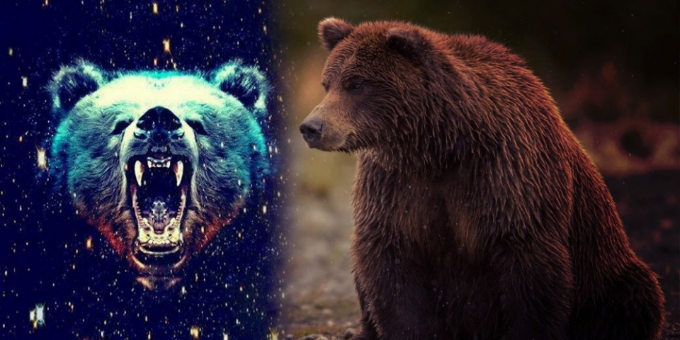 Los osos simbolizan protección, fuerza y astucia