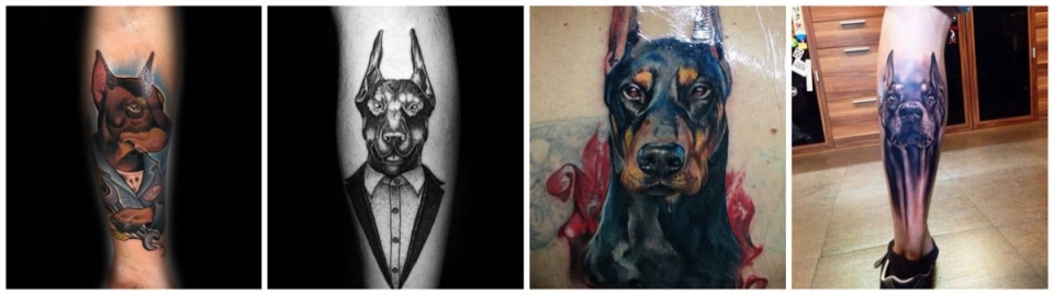Ejemplos de tatuajes de Doberman