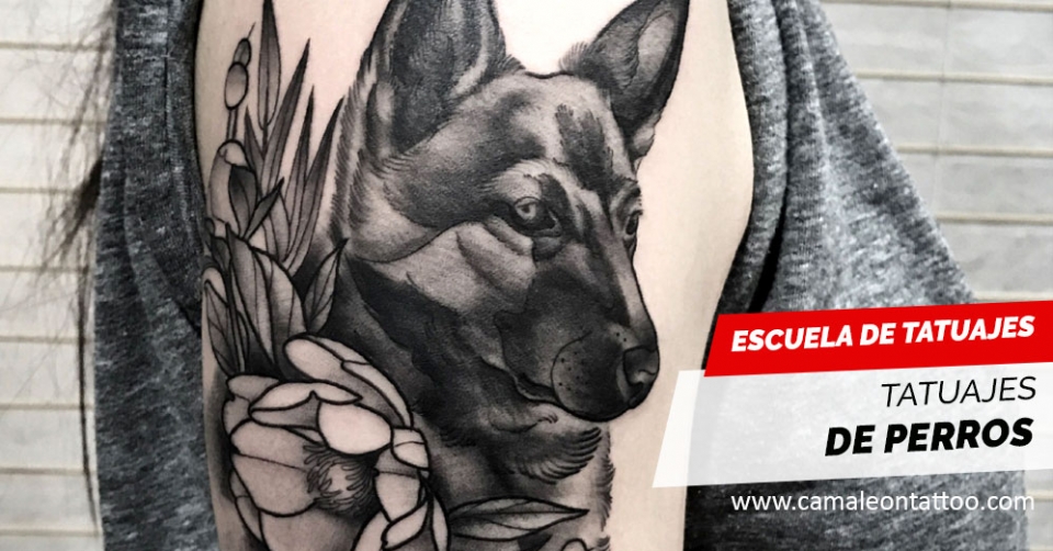 ᐈ Tatuajes perros, IDEAS y SIGNIFICADO [2019] Camaleon