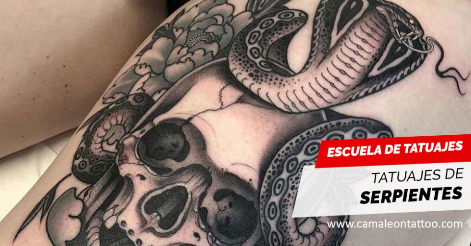 Ideas, tipos y significados tattoos serpientes