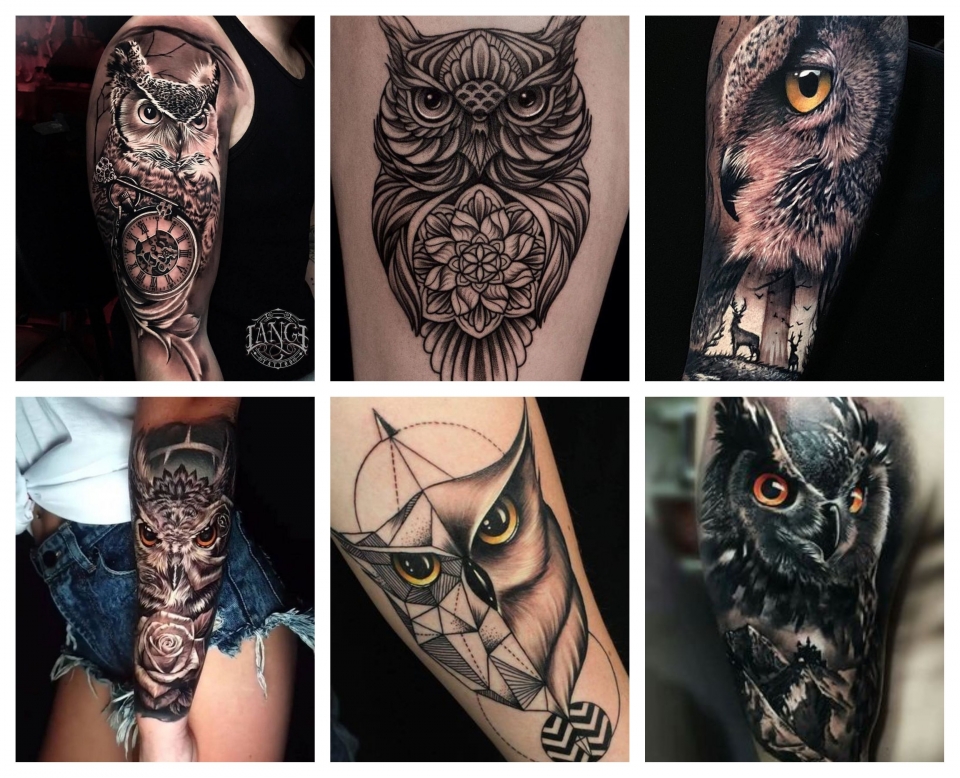 Tatuajes de buhos en el brazo