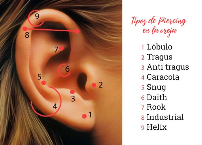 tipos de piercing oreja