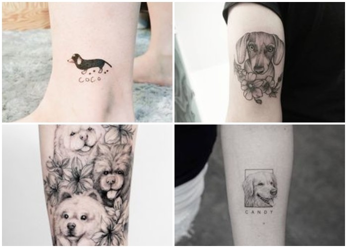 ᐈ Tatuajes de mascotas: ¿Dónde y cómo tatuarme a mi mascota favorita? - Camaleon Tattoo